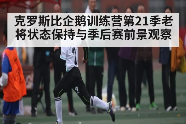 克罗斯比企鹅训练营第21季老将状态保持与季后赛前景观察