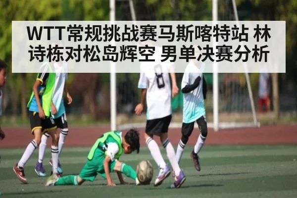 WTT常规挑战赛马斯喀特站 林诗栋对松岛辉空 男单决赛分析 - ng28.h5